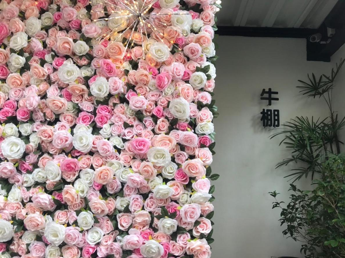 Donghai Cottage Backpack Inn Suite Longjing Екстериор снимка